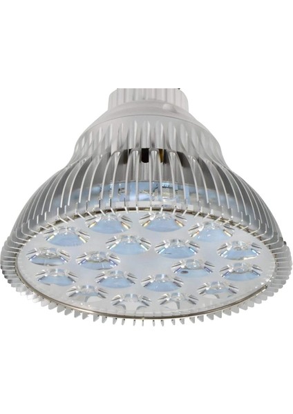 Sadece Tutucu Bize Fiş Stili LED Akvaryum Aydınlatma PAR38 Ampul ile E27 Lamba Klipsi Deniz Mercan Resifi Balık Tuzlu Su Tatlısu Nano Tank Bitki Büyüme LED (Yurt Dışından) fırsatları