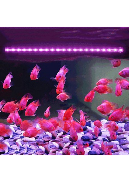 19CM Ab Tarzı Balık Tankı Işık LED Uzaktan Kumanda Renk Değişikliği Balık Tankı Lambası Rgb Abd Ab Tak Dalgıç Balık Tankı Işık IP68 Su Geçirmez (Yurt Dışından)