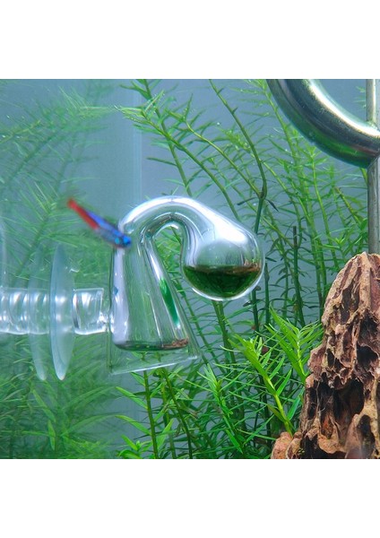 Kulak Şekli Stili Cam Akvaryum Co2 Damla Denetleyicisi Dikilen Tank Karides Balık Tankı Su Co2 Seviyesi Dkhph Monitör Akvaryum Aksesuarları Malzemeleri (Yurt Dışından) fiyatları
