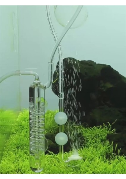 Sarı Stil Cam Co2 Reaktör Difüzör Akvaryum Balık Tankı Yoğun Akış Karbon Dioksit Kabarcık Sayacı Vantuz Akvaryum Dikilen Tank Için (Yurt Dışından) modelleri