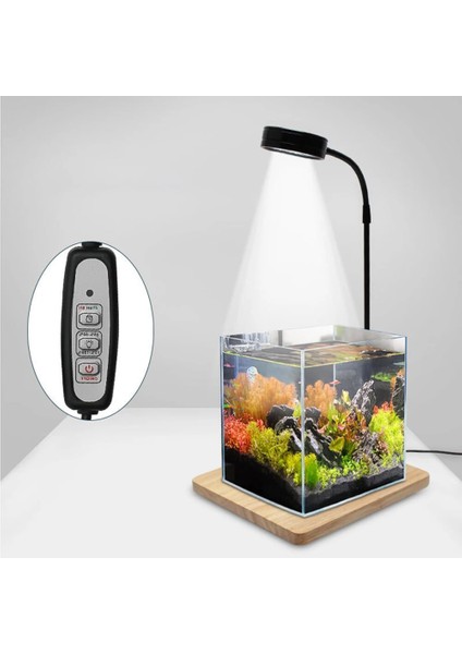 5W Tarzı USB Powered Süper Beyaz Balık Tankı LED Spot Ev Minyatür Peyzaj Bitki Sucul LED Işık Akvaryum Işığı Ahşap Tahta ile (Yurt Dışından)