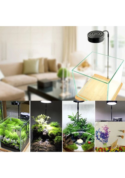 5W Tarzı USB Powered Süper Beyaz Balık Tankı LED Spot Ev Minyatür Peyzaj Bitki Sucul LED Işık Akvaryum Işığı Ahşap Tahta ile (Yurt Dışından) fırsatları