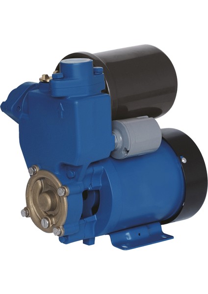 610 Benzinli Hidrofor 370 Watt