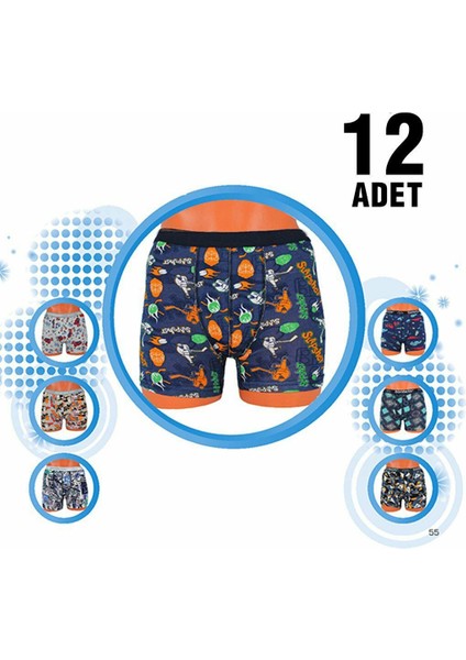 Aldeza 550 Erkek Çocuk Boxer 12'li
