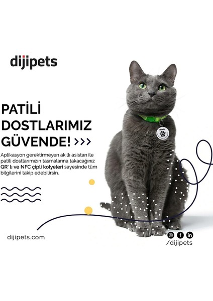 Diji Pets Akıllı Kedi Tasması - Nfc ve Qr Kod Destekli - Patili Dostlarımız Için Dijital Pet Kimlik Kartı