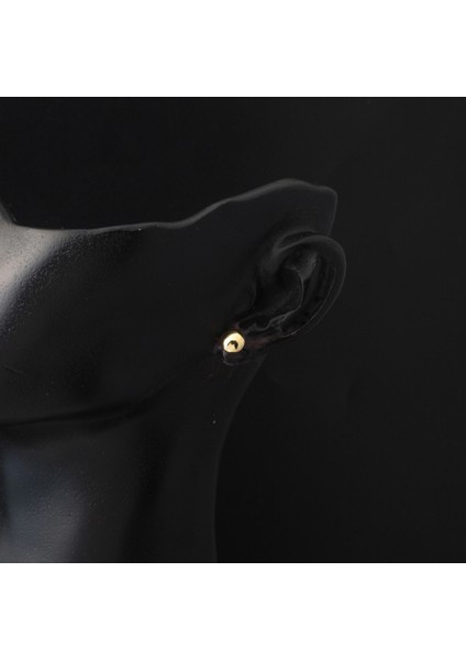 Aynalı 14 Ayar Altın Mini Top Küpe