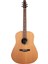 S6 Collection 1982 Akustik Gitar (Natural) 1