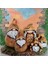 Burnuk Ailesi Biblo Set 2