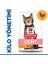 Hills Light Adult 1,5kg Kedi Düşük Kalorili Tavuklu Light Yetişkin Kedi Maması 2