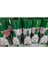 Hızlı Yapıştırıcı 200 ml Somafix 2