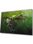 Yeşil Kurbağa Greenback 110X70-MIYREM 1