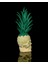 Ananas Kuru Kafa Hareketli Obje Kuru Kafa Obje Tropikal Obje Dev Boy 34CM 3