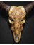 Bill Skull Şeytani Kafatası Işlemeli 27 cm (Dev Boy) 1