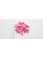 12 mm Fuşya Pembe Renkli Kadife Ponpon 100 Adet 1 Poşet 2