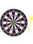 1 Takım Yetişkin Kapalı Spor Oyunu Çocuklar Için Mükemmel Dekorasyon Kurulu Oyuncak 16CM Çift Taraflı Dart Tahtası Dart Oyun Seti (Yurt Dışından) 2