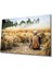 Buğday Cam Tablo 36 x 23-Mıyrem 1