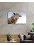 Koyun Cam Tablo 36 x 23-Mıyrem 2