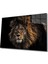 Aslan Cam Tablo 36 x 23-Mıyrem 1