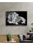 Aslan Hayvan Cam Tablo 36 x 23-Mıyrem 2