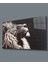 Aslan Cam Tablomıyrem36 x 23-Mıyrem 1