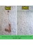 MB Cleaner Halı Şampuanı 5 Lt 2