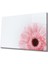 Çiçek Illüstrasyon Cam Tablo Flower Illustration Art 36 x 23-Mıyrem 1