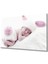 Şapkalı Uyuyan Bebek Cam Tablo 36 x 23-Mıyrem 1