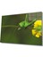 Sarı Çiçek Yeşil Çekirge Cam Tablo 36X23-MIYREM 1