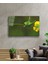 Sarı Çiçek Yeşil Çekirge Cam Tablo 36X23-MIYREM 2