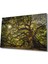 Ağaç Orman Güneş Yeşil Cam Tablo 36X23-MIYREM 1