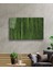 Yeşil Silindir Bitki Cam Tablo 36X23-MIYREM 2