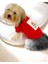 Santa And Friend Rudolph Köpek Tişörtü Yılbaşı Noel Christmas Köpek Elbisesi 5