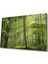 Ağaç Yeşil Orman Cam Tablo 36X23-MIYREM 1