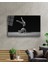 Balerin Cam Tablomiyrem 36X23-MIYREM 2