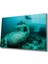 Sualtı Cam Tablo Marine Life 36X23-MIYREM 1