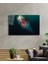 Denizanası Cam Tablo Jellyfish 36X23-MIYREM 2