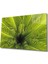 Yeşil Bitkiler Yeşil BITKILERMIYREM36X23-MIYREM 1