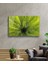 Yeşil Bitkiler Yeşil BITKILERMIYREM36X23-MIYREM 2
