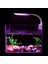 M180-B Ab Fiş Stili 3 Mod 5W 10W Akvaryum Balıkları Tankı Için LED Aqua Balık Işık Kelepçe Klip Işık Beyaz Mavi Kırmızı Yeşil Renkli Aydınlatma (Yurt Dışından) 1
