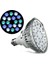 6beyaz 3mavi Tarzı LED Akvaryum Işık E27 PAR30 PAR38 Reef LED 54W Ac LED Grow Bitki Akvaryum Lambası Mercan Resifi Balık Tankı Için (Yurt Dışından) 1