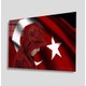 Seçili Renk Renkli