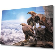 Miyrem Akbaba Cam Tablo 36 x 23-Mıyrem