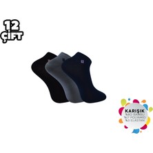 ADG Socks Adg 3012 Dikişsiz Erkek Bambu Patik 12'li