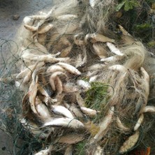 Tlg Shop Ootdty Balıkçılık Balık Örgü Tuzak Monofilament Solungaç Net Ağ Mücadelesi Açık 8m x 0.8m (Yurt Dışından)