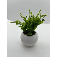 Trendkent Mini Beton Saksı 3'lü Set Gerçek Yosunlu Yapay Çiçek Aranjman Hediyelik Paket Saksı