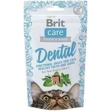 Brit Care Kedi Ödülü Diş Sağlığı