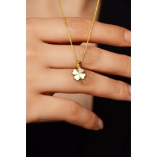 Roza Silver Zirkon Taşlı Gold Dört Yapraklı Yonca Gümüş Kolye