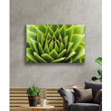 Yeşil Bitki Green Plant  36X23-MIYREM