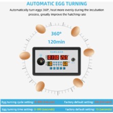 Talent Akıllı Termostat Dijital ZFX-W9002 Termostat Sıcaklık Nem Kontrol Kuluçka Makinesi 360 Otomatik Yumurta Çevirme 220 V (Yurt Dışından)