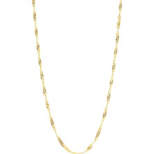 Bilezikci Singapur 14 Ayar Altın Boyun Zinciri